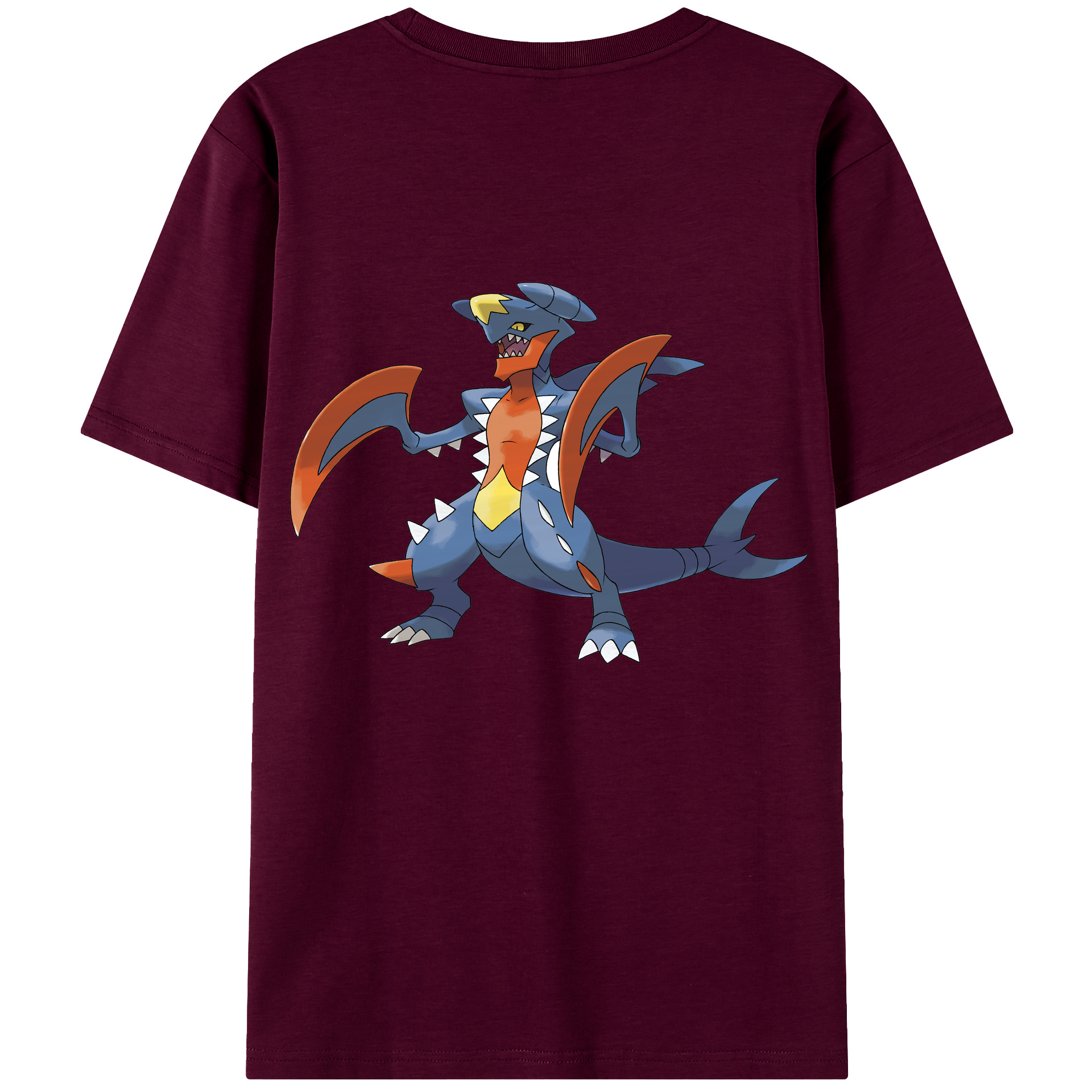 （画像用） ポケットモンスター Pokémon レディース半袖Tシャツ(バックプリント)